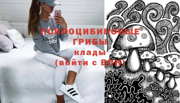 ПСИЛОЦИБИНОВЫЕ ГРИБЫ Пролетарск