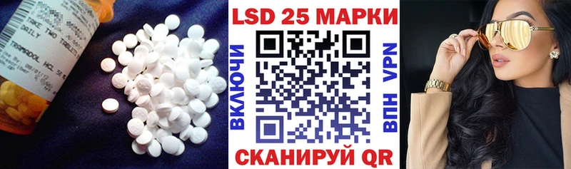 наркотики  Курчатов  Лсд 25 экстази ecstasy 