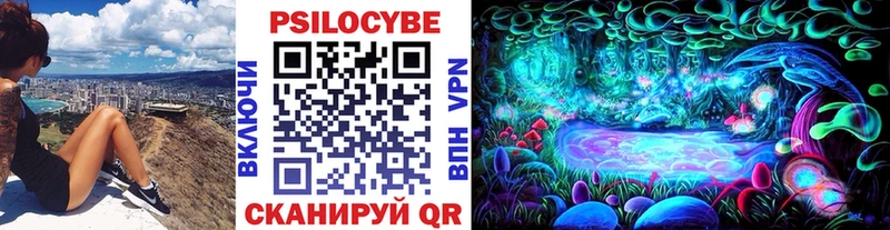 Галлюциногенные грибы Cubensis  продажа наркотиков  Курчатов 